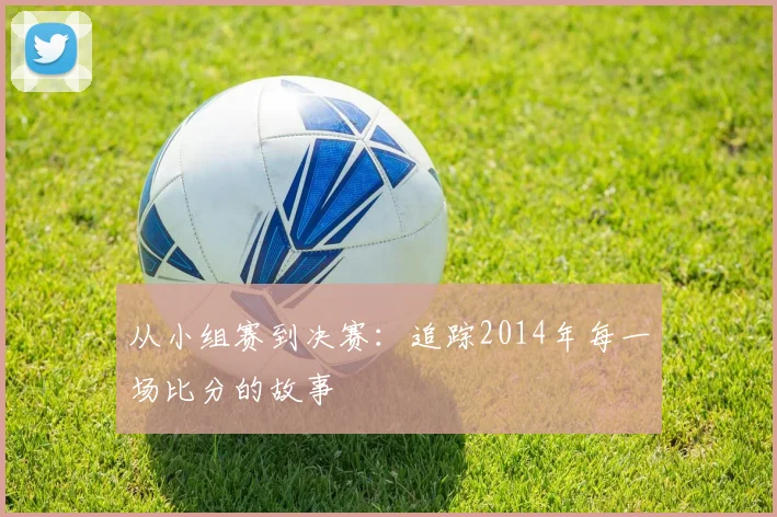 从小组赛到决赛：追踪2014年每一场比分的故事
