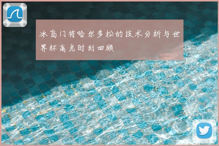 冰岛门将哈尔多松的技术分析与世界杯高光时刻回顾