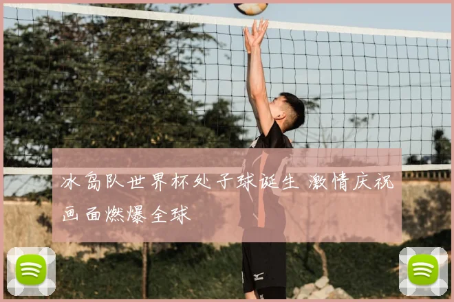 冰岛队世界杯处子球诞生 激情庆祝画面燃爆全球