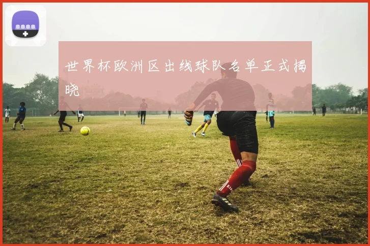 世界杯欧洲区出线球队名单正式揭晓