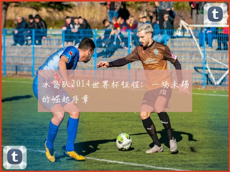 冰岛队2014世界杯征程:一场未踢的崛起序章