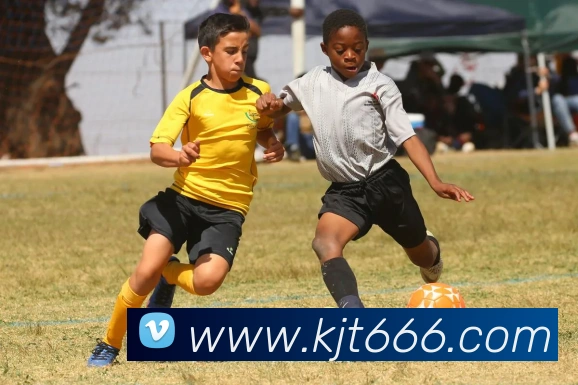 开云手机入口登录官网品牌故事