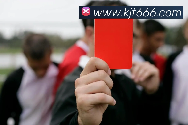 开云手机入口登录官网服务体系